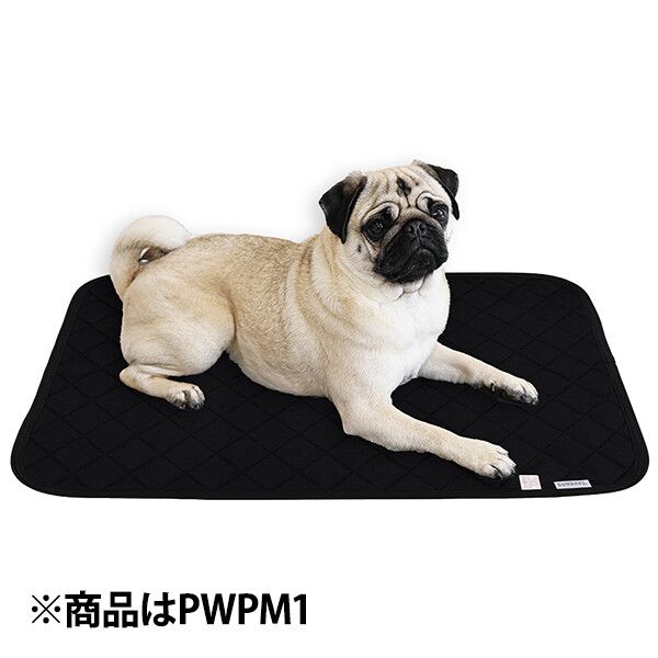 ベーシック 抗菌 吸水防水丸洗いマット (トイレマット) M スケーター