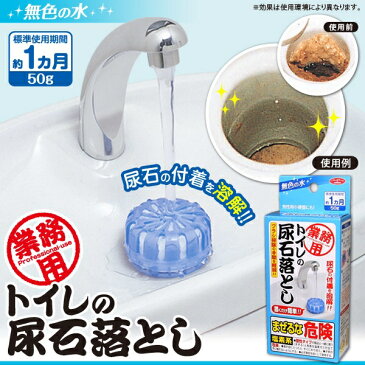 業務用 トイレの尿石落とし [キャンセル・変更・返品不可]