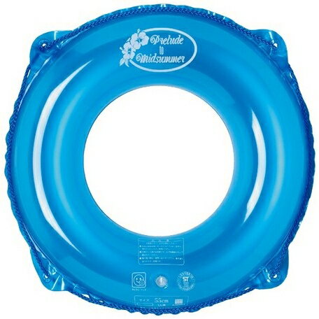 【i-colorウキワ ブルーベリー55CM】[返品・交換・キャンセル不可]