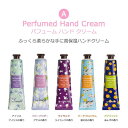 韓国コスメ the SAEM (ザセム) PERFUMED HAND CREAM (パヒュームハンドクリーム)30ml [全5種] [キャンセル・変更・返品不可]