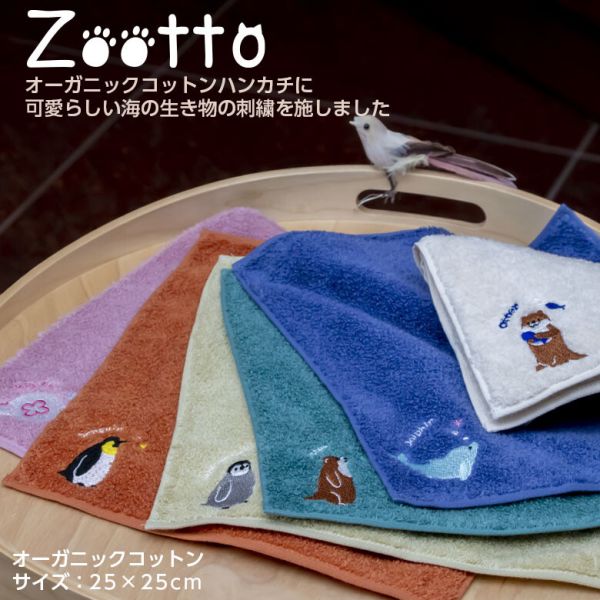 オーガニックコットン 今治タオル ハンカチ (Zooto) プチギフト [日本製] [チンアナゴ] [キャンセル・変更・返品不可] 2