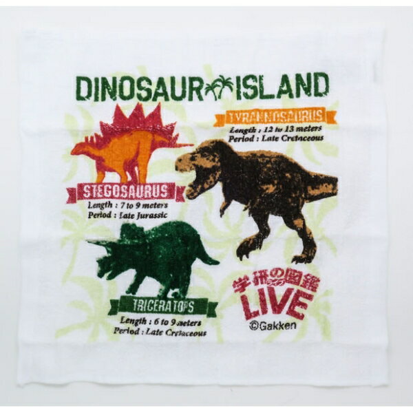 �ظ��ο޴�LIVE ��ε �����ܤꥻ�å� [����󥻥롦�ѹ��������Բ�]