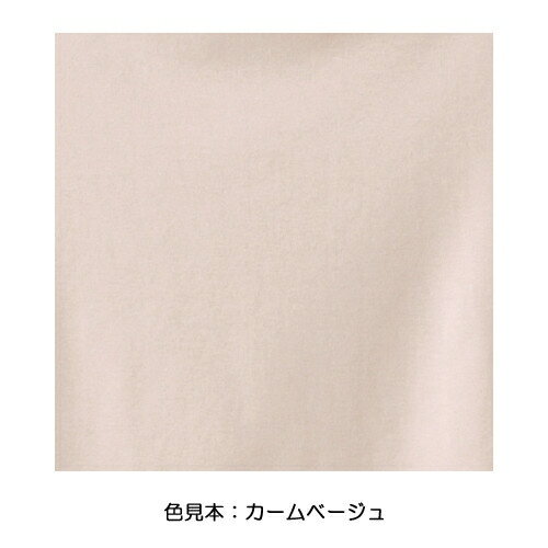 GUNZE(グンゼ) GQ-1/快適仕様 ショーツ [キャンセル・変更・返品不可]