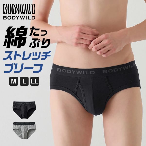 GUNZE(グンゼ) BODYWILD(ボディワイルド)/紳士 ブリーフ(前あき) BWB202A [全2色×3サイズ]
