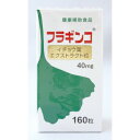 フラギンコ イチョウ葉 エクストラクト粒 単品