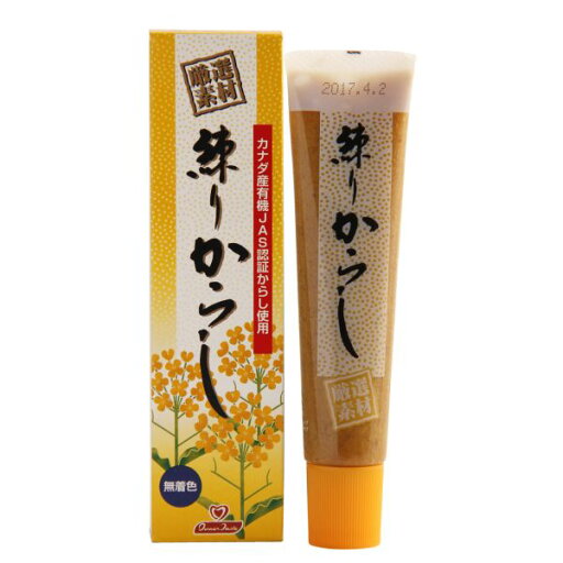 練りからし 単品 練りからし 単品