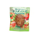 サラダバーグ 90g 単品