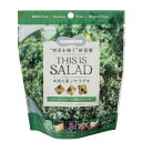 THIS IS SALAD ケールとフルーツの板グラノーラ 単品