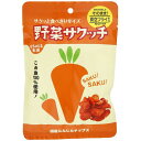 野菜サクッチ 国産にんじんチップス 19g 単品