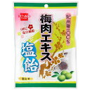 梅肉エキス塩飴 70g 単品