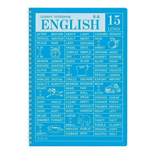 [ԥ] Ρ åΡ ĥ֤ B5 15 Ѹ SW1705