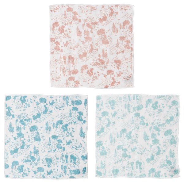 [スケーター] ピーターラビット かや生地ふきん 3枚 [キャンセル・変更・返品不可]