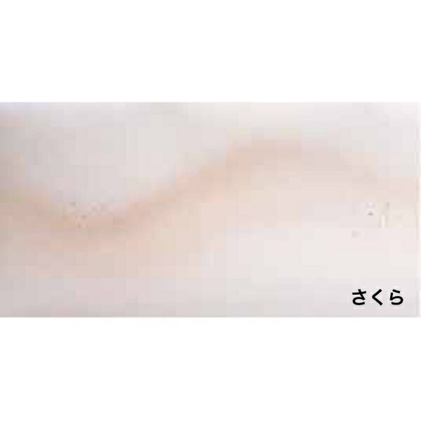 ܤ󺽻 Ⱦ 10  [󥻥롦ѹԲ]