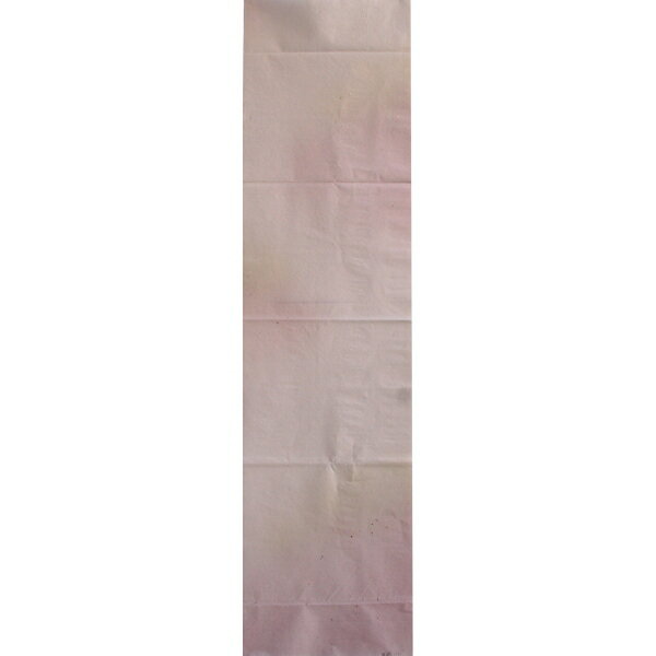 ƻѻ ù ƻ 3ܤ󺽻 (1)С 60x180 10 [󥻥롦ѹԲ]