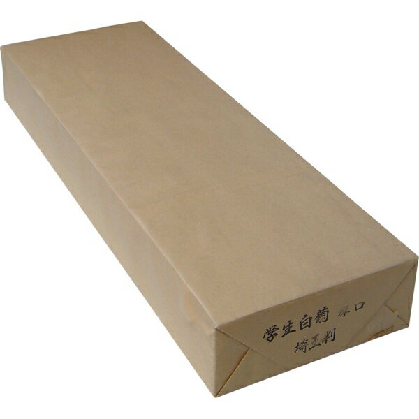 ミニ原稿用紙 メモ帳 宮沢賢治 幻燈館1998 注文の多い料理店 木野瀬印刷 文具 縦書き メール便可