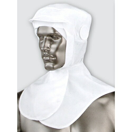 �˽����ѵ۴�®��������Ƭ�� �ۥ磻�� (NPC6990)