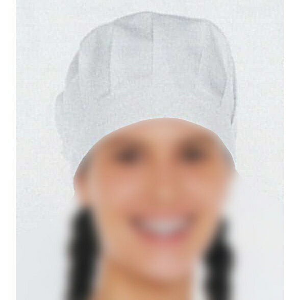 [ʥ졼٥] Ǹ˹ (EP-511) [2][ۥ磻][ե꡼]