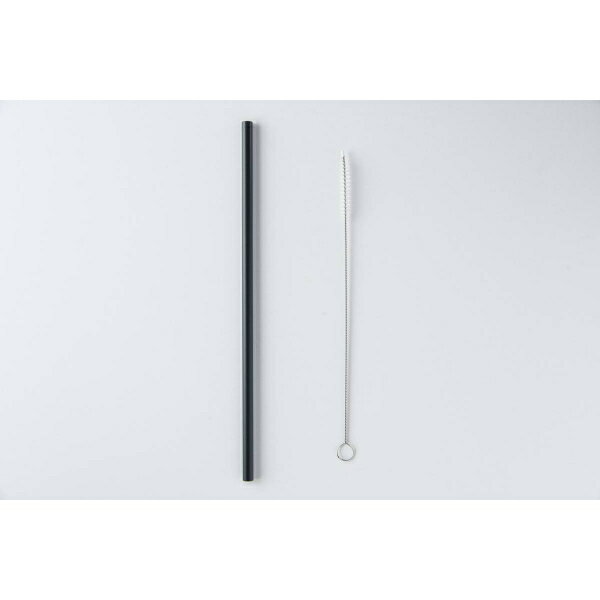 ポータブルストロー (ブラシ付き) ブラック