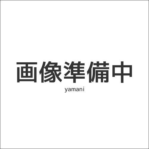深山(miyama.) obi-オビ- 煎茶碗 白磁(裏印なし) [キャンセル・変更・返品不可]