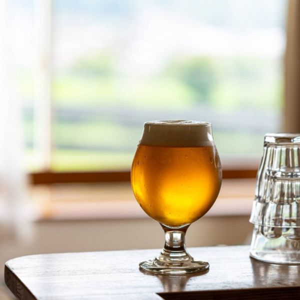 ����ꤹ���ʤ����ݤ����ƥ॰�饹(��) �⤵:14cm