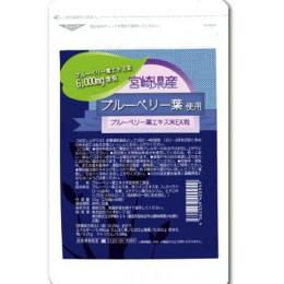 【ブルーベリー葉エキス末 EX粒】1袋にブルベリー葉エキス末6000mg含有。【楽ギフ_包装】fs04gm、【RCP】