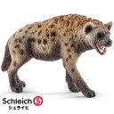 仕留める前のヌーをライオンから横取りするハイエナ しかしヌーに逃げられる プレデターtv 肉食獣動画