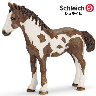 シュライヒ 動物フィギュア ピント馬 仔 13695【Schleich 動物 フィギュア デザイン おしゃれ おもちゃ プレゼント インテリア ギフト】