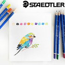 【メール便可 2個まで】ステッドラー STAEDTLER / ステッドラー エルゴソフト アクェレル 水彩色鉛筆（12色セット）（156 SB12）【ステッドラー 色鉛筆 デザイン おしゃれ 輸入 ド
