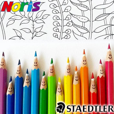 【メール便可 2個まで】ステッドラー STAEDTLER / ノリスクラブ 消せる色鉛筆 （12色セット）（144 50NC12）【ステッドラー 色鉛筆 デザイン おしゃれ 輸入 ドイツ】 1