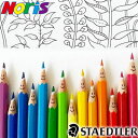 【メール便可 2個まで】ステッドラー STAEDTLER / ノリスクラブ 消せる色鉛筆 （12色セット）（144 50NC12）【ステッドラー 色鉛筆 デザイン おしゃれ 輸入 ドイツ】