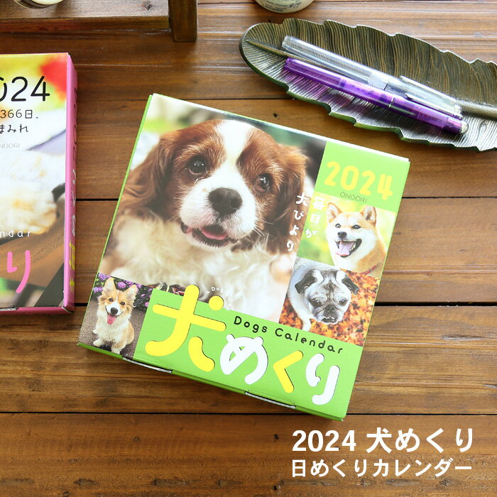 【ポイント10倍】犬めくり 2024年 カレンダー 日めくりカレンダー 台座付き（CK-D24-01）【犬めくりカレンダー イヌ …