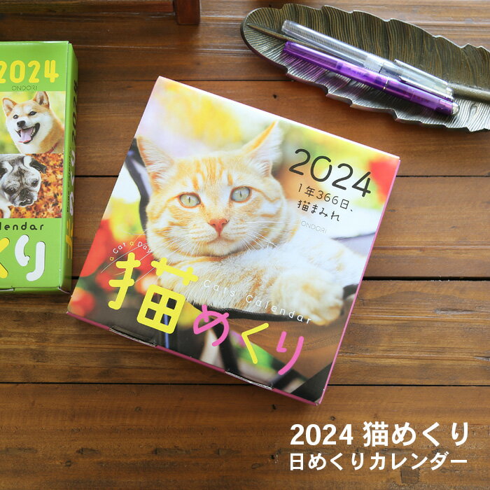 【ポイント10倍】猫めくり 2024年 カレンダー 日めくりカレンダー 台座付き（CK-C24-01）【猫めくりカレンダー ネコ …