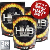 healthylife HMB6ʬˡ3ޥåȡ(hmb ץ ץ   hmb֥å ɬܥߥλ  γ إ륷饤 ŷ )