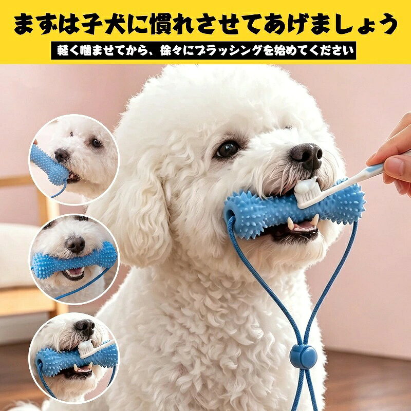 犬 歯磨き補助器具 歯磨き嫌いな犬におすすめ ペット用デンタルケア 口開けサポー...