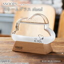 《CTS》PEANUTS (ピーナッツ) ストームグラス クラウド 結晶 フィッツロイの気象計 気象予報計 天気予報 知育玩具 化学 スヌーピー SNOOPY インテリア プレゼント ギフト 151-333274 【北海道・沖縄・離島配送不可】