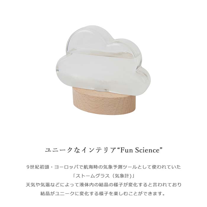 《CTS》ストームグラスクラウド 気象計 フィッツロイの気象計 天気予報 サイエンス 科学 天候 置物 オブジェ インテリア おしゃれ 可愛い 新築祝い 引越し祝い ギフト 誕生日 プレゼント ガラス 木製 333-400 [2]