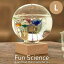 《CTS》333-210 【Fun Science】ガラスフロート温度計 ドームLガリレオ温度計 インテリア小物 ディスプレイ小物 サイエンス 科学 気温 浮き球 ガラス インテリア 333-210