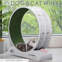 《GTK》犬猫ホイール ABS 樹脂タイプ キャットホイール 猫ホイール ランニングホイール 回転ホイール ルームランナー 静音 静か 安全 運動不足 ストレス...
