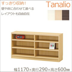 https://thumbnail.image.rakuten.co.jp/@0_mall/e-sumail-style/cabinet/shirai/shirai2/tnl-60117.jpg