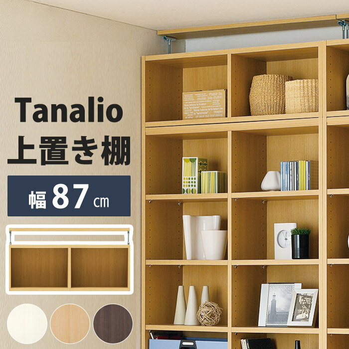 《S-ing/S》 タナリオ 別注 オーダー 上置き棚 幅870×奥行290×高さ365～585mm 壁面収納 オープンラック..