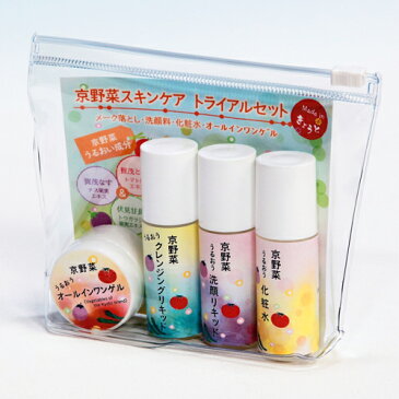 京野菜 うるおうトライアル4点セット【1セットまでレターパックプラス送付対応】