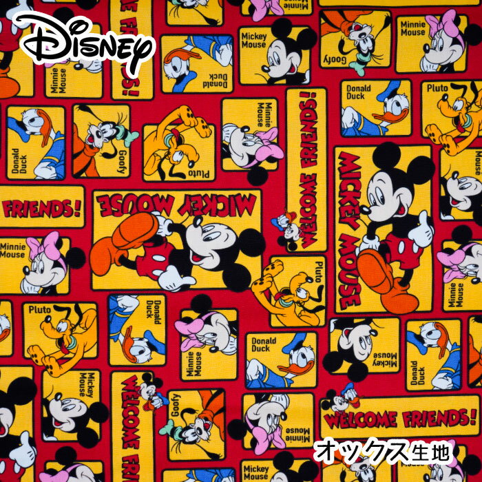 ●GR-1119-1 ◆KOKKA Disney ミッキーマウ