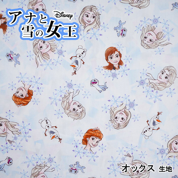 GR-1135-1 KOKKA Disney FROZEN ʤν ɹη뾽 å ϡ(10cmñ)(᡼ز)