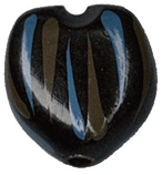 CNG-103 ククイナッツ　柄　(取り寄せ品)　(メール便不可)