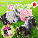 犬 マナーパンツ らくちんおパンツ サニタリー 生理用 ショーツ 女の子 AirBalloon エアバルーン マジックテープ調整可能 ペット用品 マナーグッズ ...