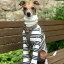 イタグレ 服 IGハイネックストライプ長袖Tシャツ イタリアン・グレイハウンド ドッグウェア 犬 服 4,400円