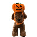 犬 猫 ハロウィン帽子 パンプキンキャップ S M L 変身帽子 かぼちゃ ドッググッズ 小型犬 中型犬 仮装パーティーや記念写真撮影に!!