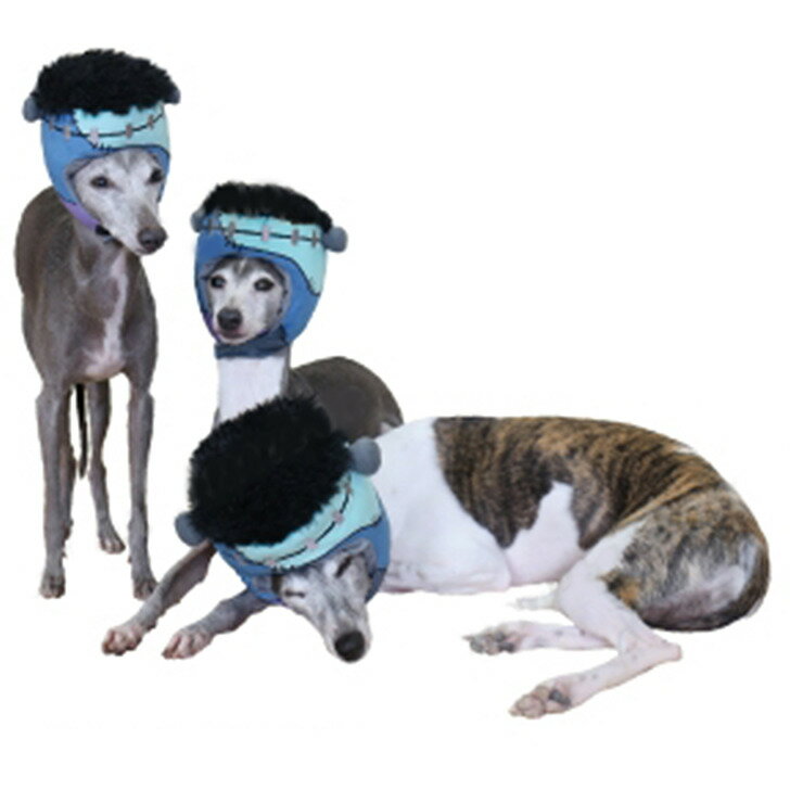 犬 ハロウィーン 変身帽子 フランケンキャップ ハロウィンかぶり帽 S M L XL 小型犬 中型犬 大型犬 ドッググッズ 仮装パーティーや記念写真撮影に！！