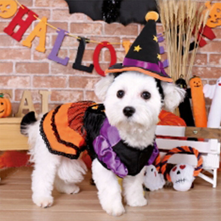 犬 ハロウィン 帽子 まじょのぼうし S M L XL 小型犬 中型犬 大型犬 ハロウィーン 変身帽子 魔女 ドッググッズ 仮装パーティーや記念写真撮影に！！