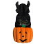 小型犬 服 ハロウィン デビルパンプキン ハロウィーン コスチューム かぼちゃ ワンピース ドッグウェア パピー 超小型犬 1号 2号ロング